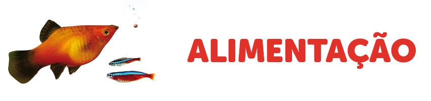 alimentaçao peixes