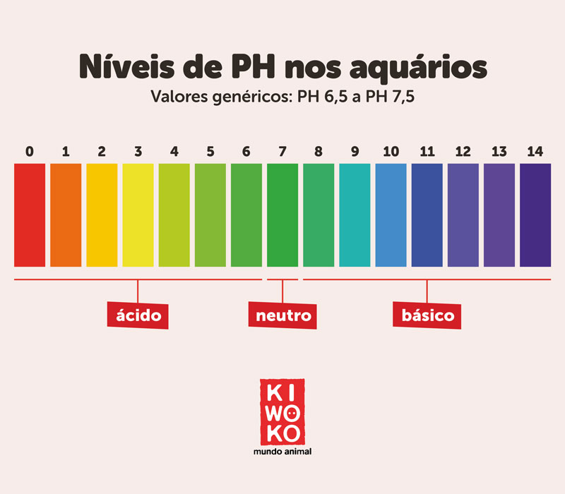 Aquários tropicais de água doce, instalação e manutenção | Blog Kiwoko