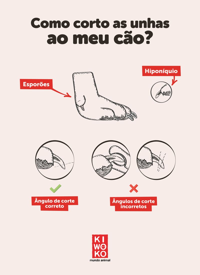 como corto as unhas ao meu cao
