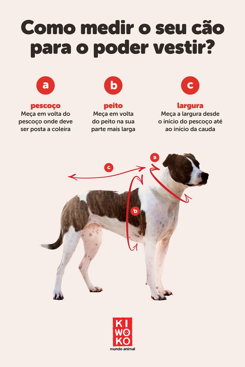 Como medir o seu çao para o poder vestir