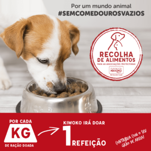 recolha de alimentos solidária