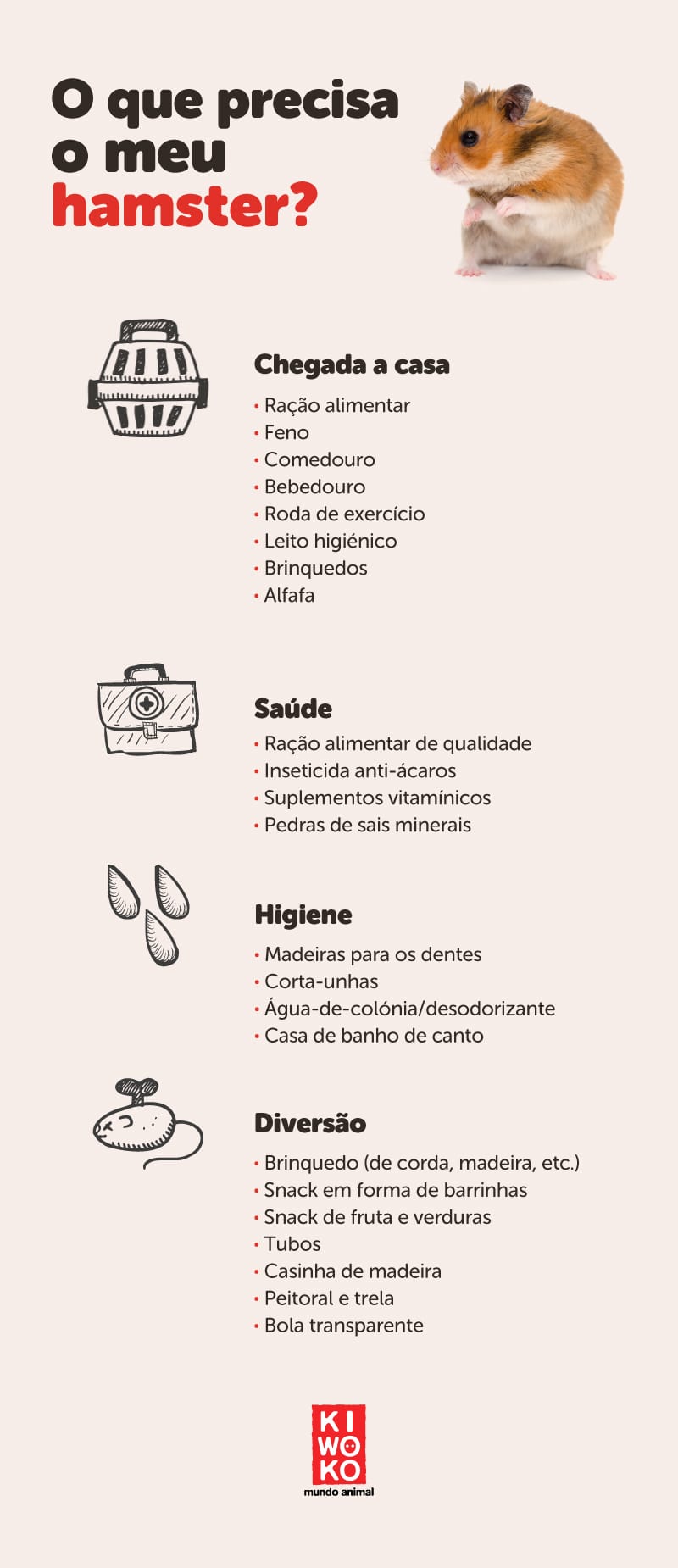 infografia- o que precisa o meu hamster