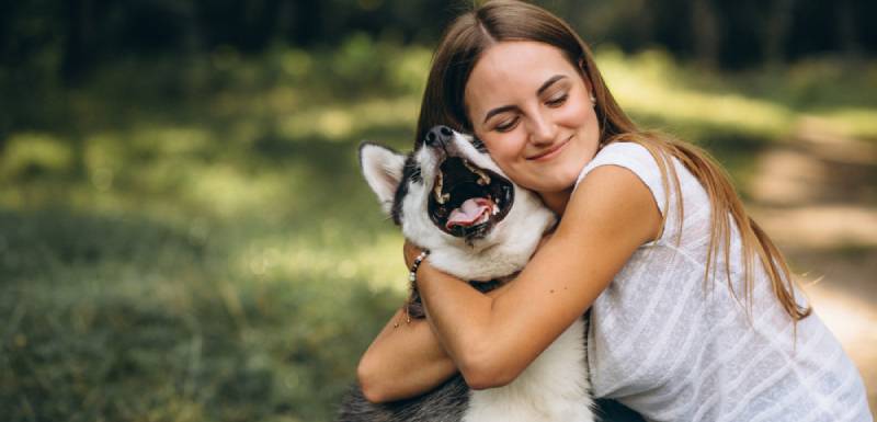 descubra qual é a melhor raça de cão para si