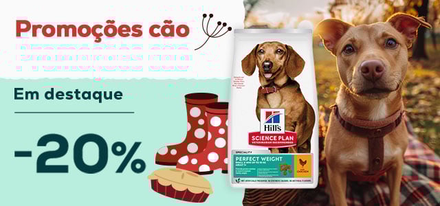 Hill’s: 20% de desconto em seleção de ração para cão