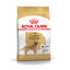 12 kg Royal Canin Adult Golden Retriever ração para cães, , large Indicador imagem número 1