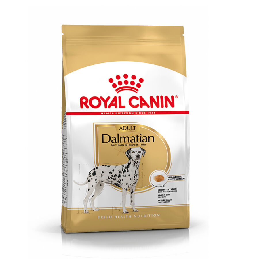 12 kg Royal Canin Adult D&aacute;lmata ra&ccedil;&atilde;o para c&atilde;es, , large Imagem n&uacute;mero 1