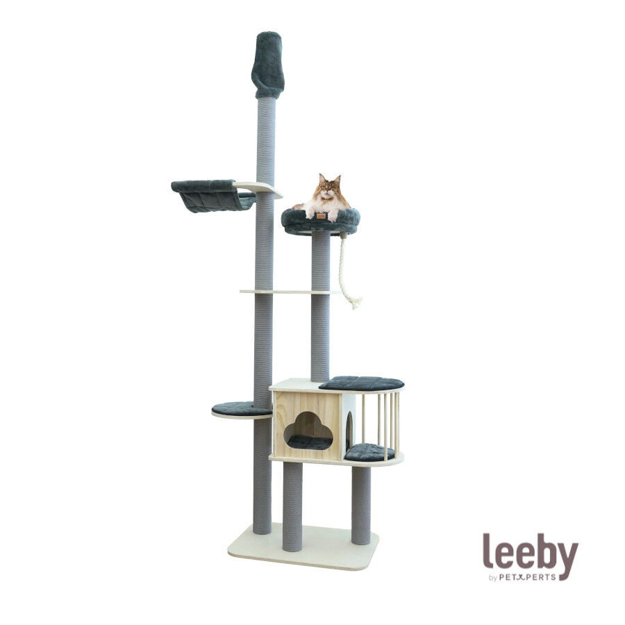 Leeby Cloud Collection torre arranhadora de teto com cama e brinquedo para gatos, , large Imagem n&uacute;mero 2