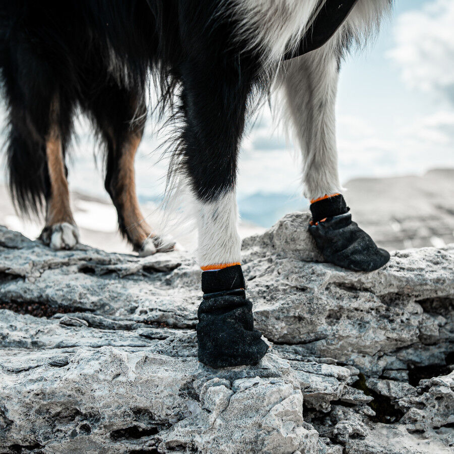 Non-stop dogwear Bota protetora preta e laranja para c&atilde;es, , large Imagem n&uacute;mero 4