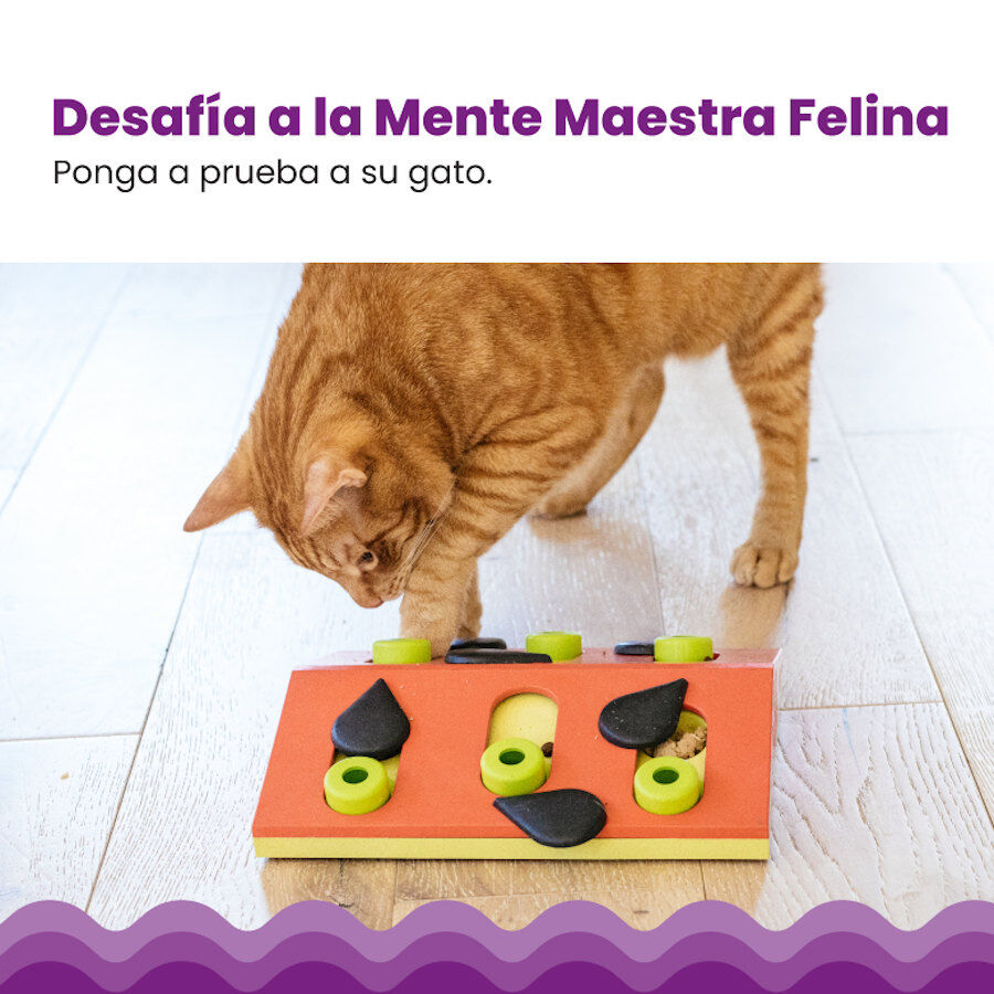 Catstages Nina Ottosson Puzzle & Play Melon Madness Brinquedo de Intelig&ecirc;ncia para gatos, , large Imagem n&uacute;mero 6