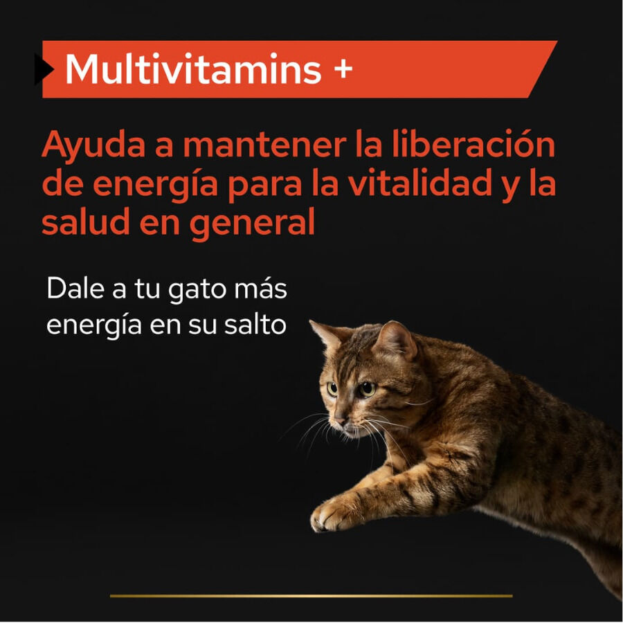 60 g Pro Plan Multivitamins + Suplemento em P&oacute; para gatos, , large Imagem n&uacute;mero 3