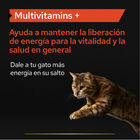 Pro Plan Multivitamins + Suplemento em Pó para gatos, , large image number null