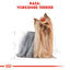 7.5 kg Royal Canin Adult Yorkshire Terrier ração para cães, , large Indicador imagem número 3