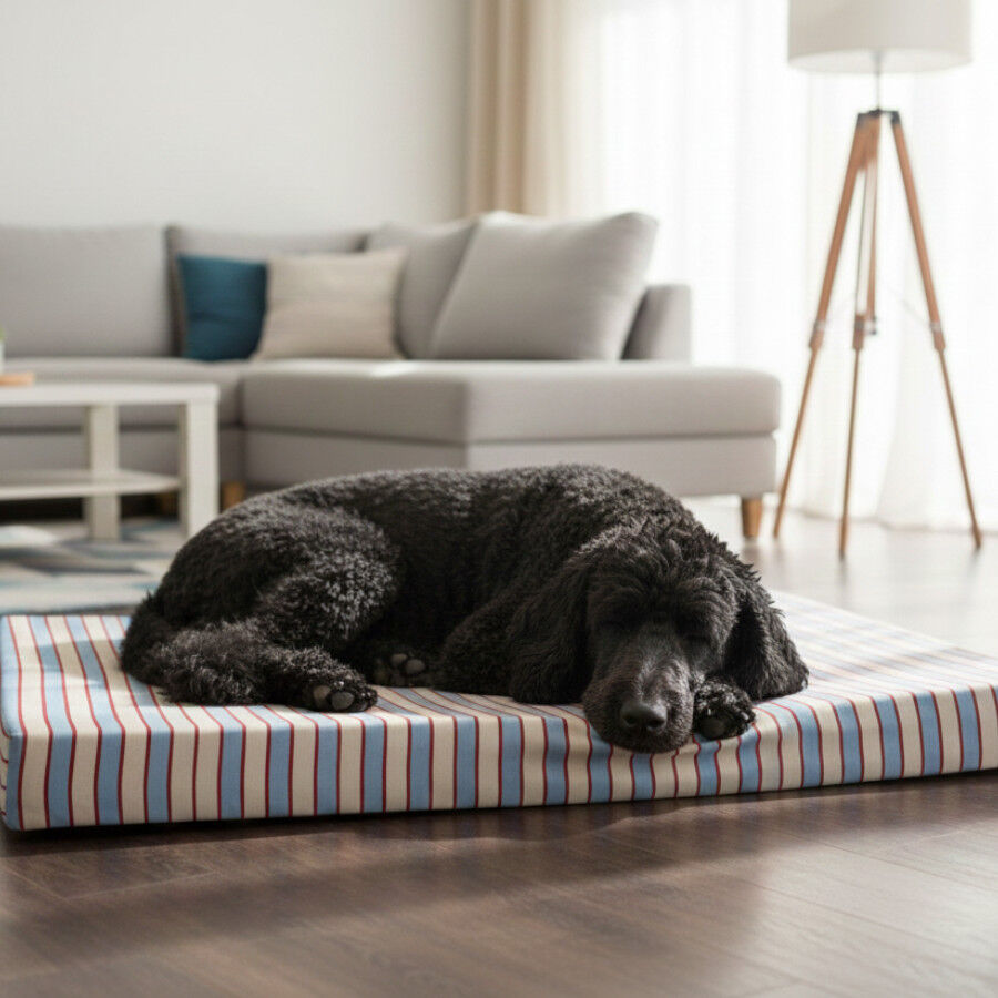 Leeby Colch&atilde;o riscas largas para c&atilde;es, , large Imagem n&uacute;mero 1