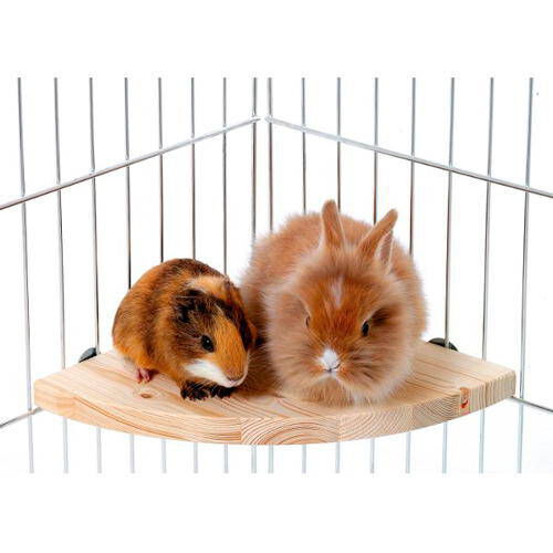 Flamingo Plataforma de madeira para roedores, , large Imagem n&uacute;mero 1