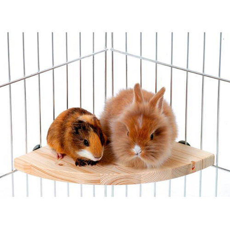 Flamingo Plataforma de madeira para roedores,  Imagem número 1 Flamingo Plataforma de madeira para roedores, , large Imagem número 1