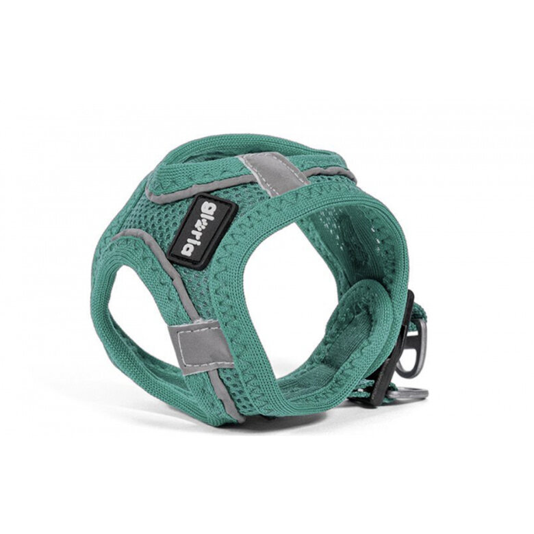 Gloria Air Mesh Trek Star Turquesa Peitoral/Vestido para cães,  Imagem número 1 Gloria Air Mesh Trek Star Turquesa Peitoral/Vestido para cães, , large Imagem número 1