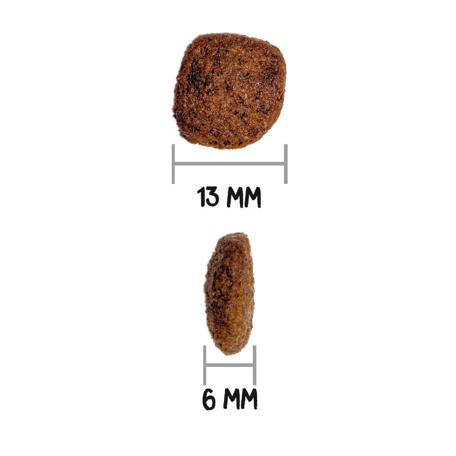 3 kg Ownat Mini Adult Ultra Frango e Peru ra&ccedil;&atilde;o para c&atilde;es, , large Imagem n&uacute;mero 3