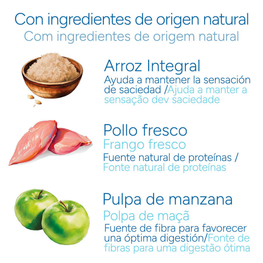 Criadores Cient&iacute;fico Adulto Mini Ra&ccedil;&atilde;o de frango para c&atilde;es, , large Imagem n&uacute;mero 5