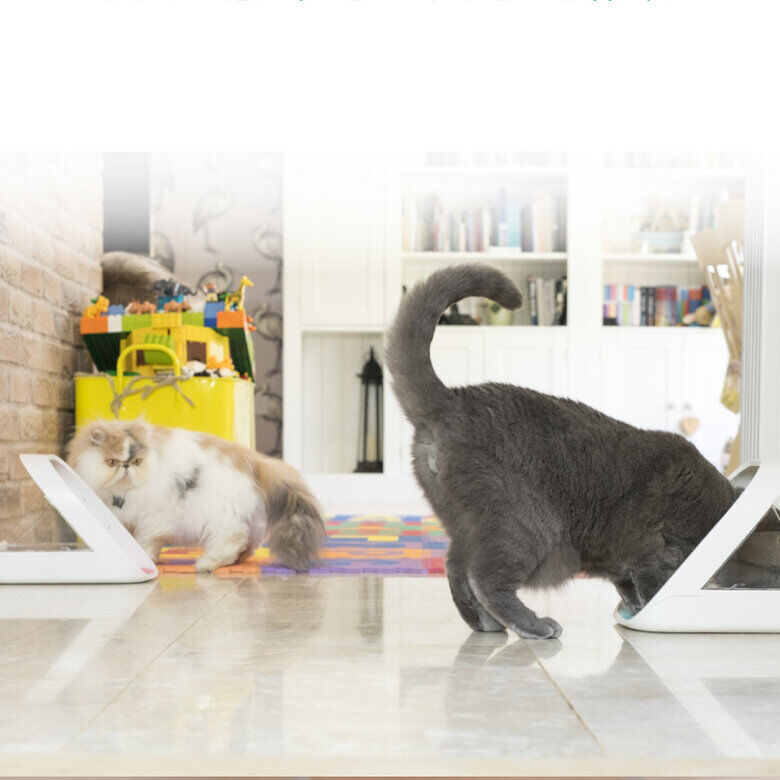 Sure Petcare Surefeed Comedouro Autom&aacute;tico com Microchip, , large Imagem n&uacute;mero 5