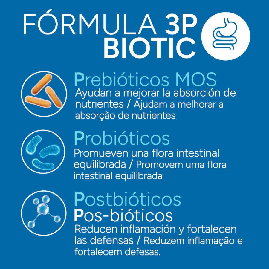 Criadores Cient&iacute;fico Senior +12 Ra&ccedil;&atilde;o de peixe para gatos, , large Imagem n&uacute;mero 4