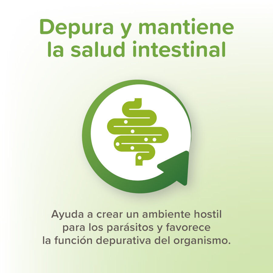 Beaphar desparasitante interno natural para c&atilde;es, , large Imagem n&uacute;mero 5