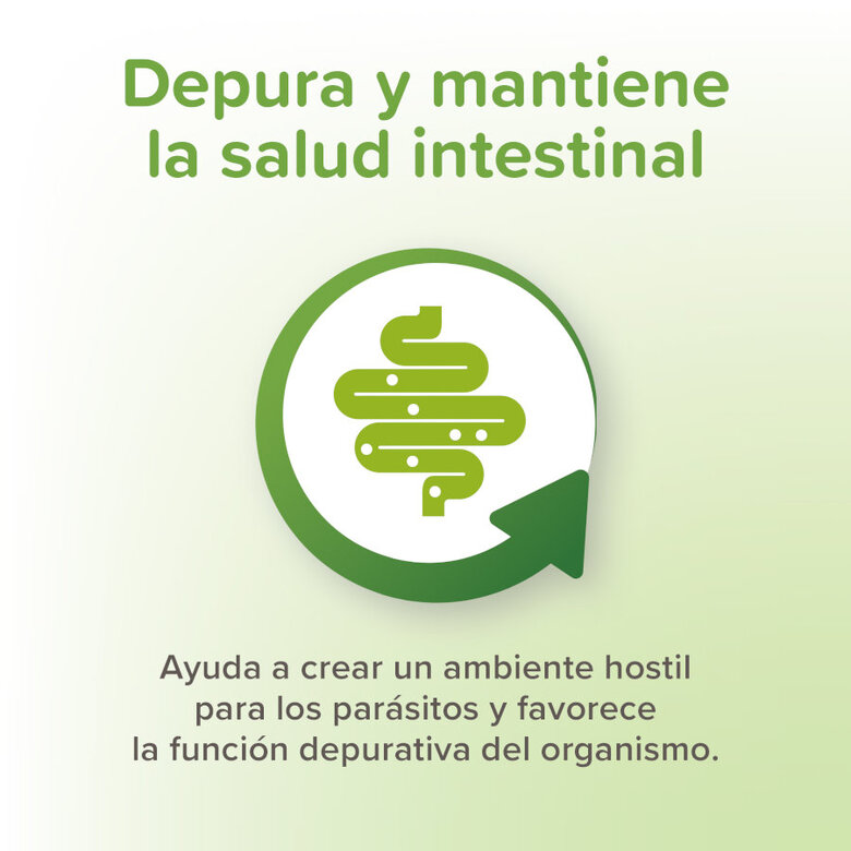 Beaphar desparasitante interno natural para cães,  Imagem número 5 Beaphar desparasitante interno natural para cães, , large Imagem número 5