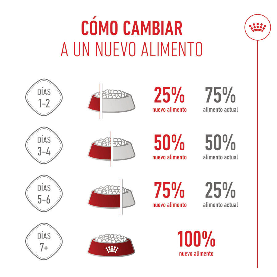 15 kg Royal Canin Starter Puppy Giant Ra&ccedil;&atilde;o para cachorro, , large Imagem n&uacute;mero 10