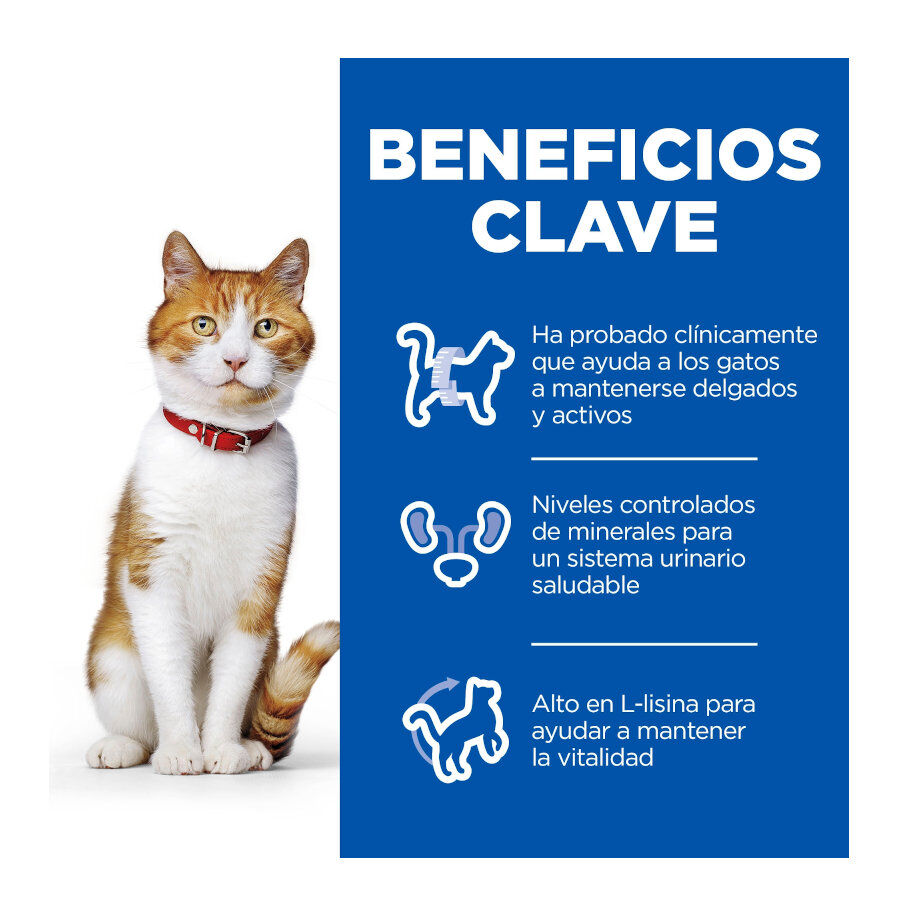 85 g Hill's Young Adult Science Plan Sterilised Truta Saqueta em Molho para gatos, , large Imagem n&uacute;mero 5