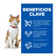 85 g Hill's Young Adult Science Plan Sterilised Truta Saqueta em Molho para gatos, , large Indicador imagem n&uacute;mero 5