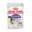 85 g Royal Canin Feline Sterilised Saquetas com molho para gatos, , large Indicador imagem número 1