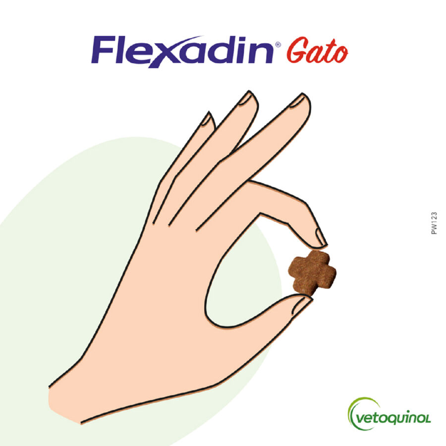 60 comprimidos Vetoquinol Flexadin Adult Condroprotetor para gatos, , large Imagem n&uacute;mero 2