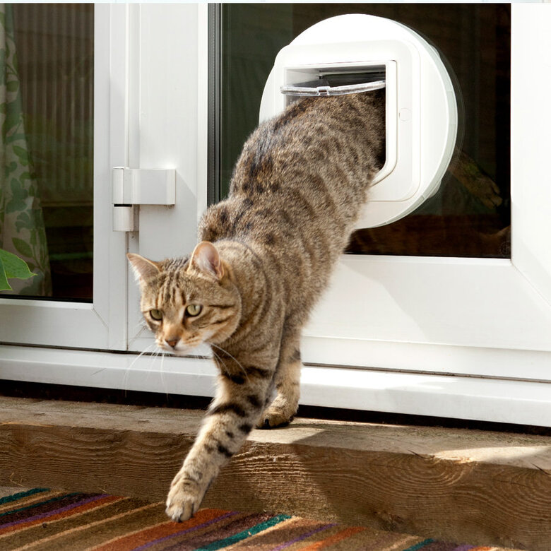 Sure Petcare SureFlap Porta Automática Branca com Microchip ,  Imagem número 4 Sure Petcare SureFlap Porta Automática Branca com Microchip , , large Imagem número 4