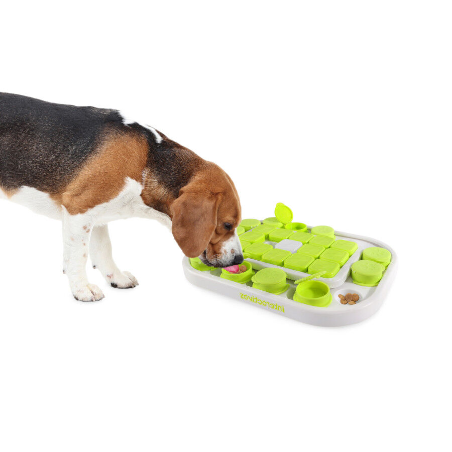 All For Paws Interactives Brinquedo interativo Sokudo para c&atilde;es, , large Imagem n&uacute;mero 1