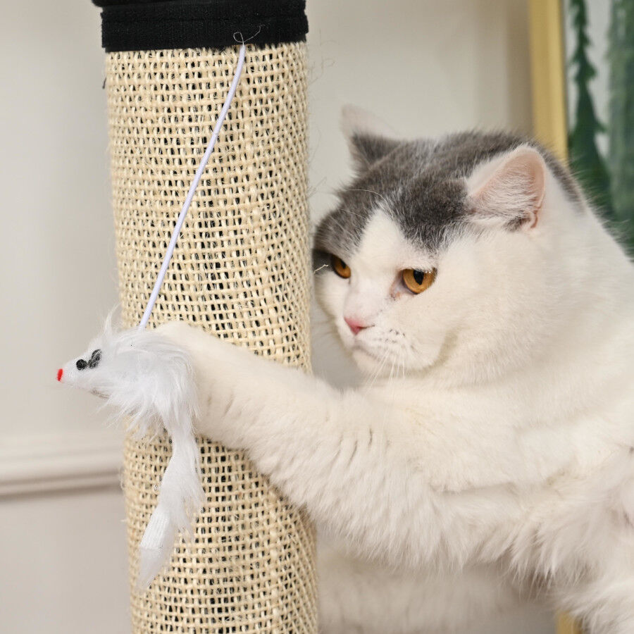 Leeby Tito arranhador para p&eacute; de mesa com brinquedo para gatos, , large Imagem n&uacute;mero 8