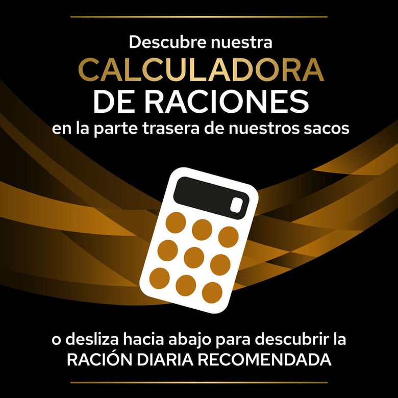 400 g Pro Plan Veterinary Diets Renal latas para cães,  Imagem número 6 400 g Pro Plan Veterinary Diets Renal latas para cães, , large Imagem número 6