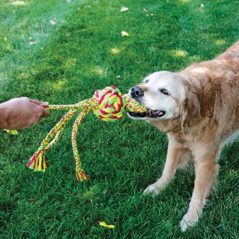 Kong Wubba Weaves Corda para cães,  Imagem número 3 Kong Wubba Weaves Corda para cães, , large Imagem número 3