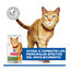 1.5 kg Hill's Science Plan Youthful Vitality Frango ra&ccedil;&atilde;o para gatos, , large Indicador imagem n&uacute;mero 6