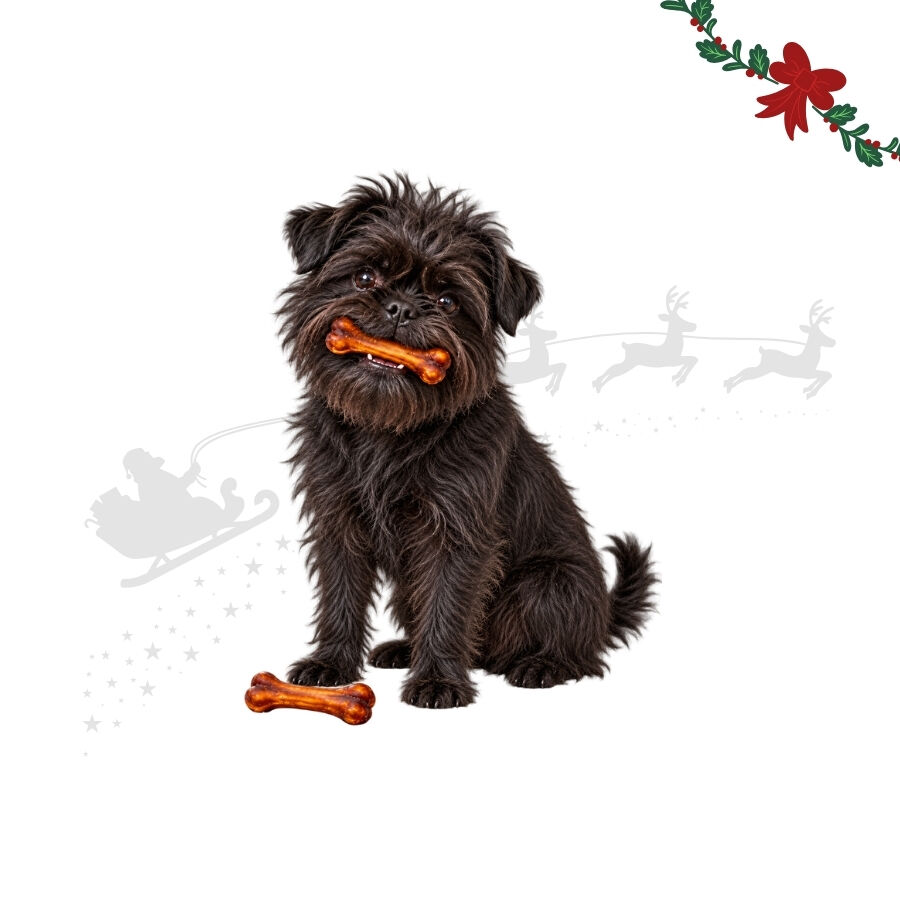 1 pack x 2 uns. Wonder Christmas Dupla de Ossos de Couro Prensado Snacks para C&atilde;es, , large Imagem n&uacute;mero 1