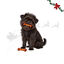 1 pack x 2 uns. Wonder Christmas Dupla de Ossos de Couro Prensado Snacks para C&atilde;es, , large Indicador imagem n&uacute;mero 1
