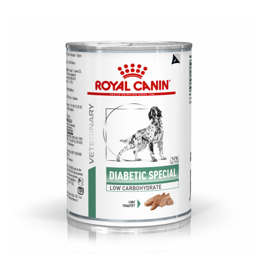 410 g Royal Canin Veterinary Diabetic latas para c&atilde;es, , large Imagem n&uacute;mero 1