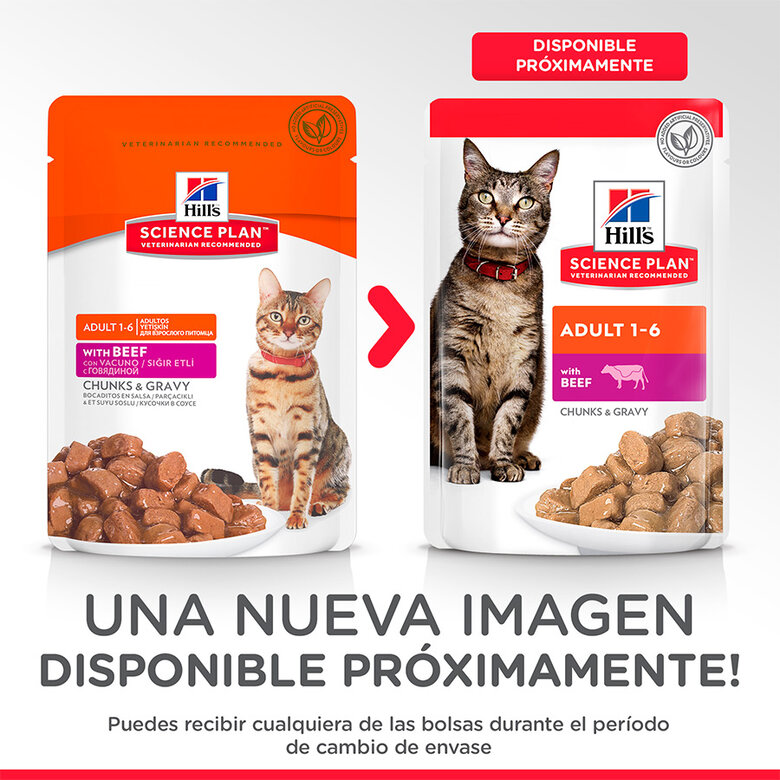 85 g Hill's Science Plan Adult Vitela Saqueta em Molho para gatos,  Imagem número 3 85 g Hill's Science Plan Adult Vitela Saqueta em Molho para gatos, , large Imagem número 3