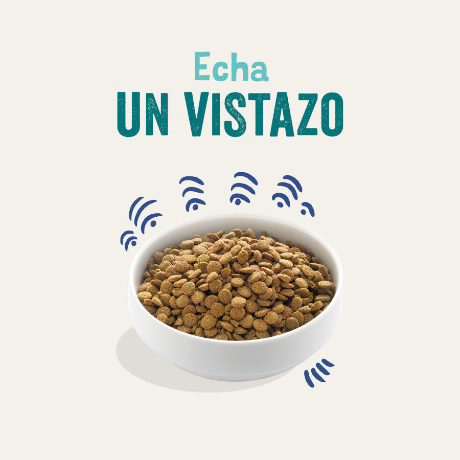 12 kg Edgard Y Cooper Adult Salm&atilde;o ra&ccedil;&atilde;o para c&atilde;es, , large Imagem n&uacute;mero 2