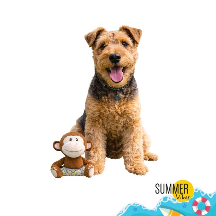 Summer Vibes Dolce Vita Monkey Peluche para c&atilde;es, , large Imagem n&uacute;mero 6