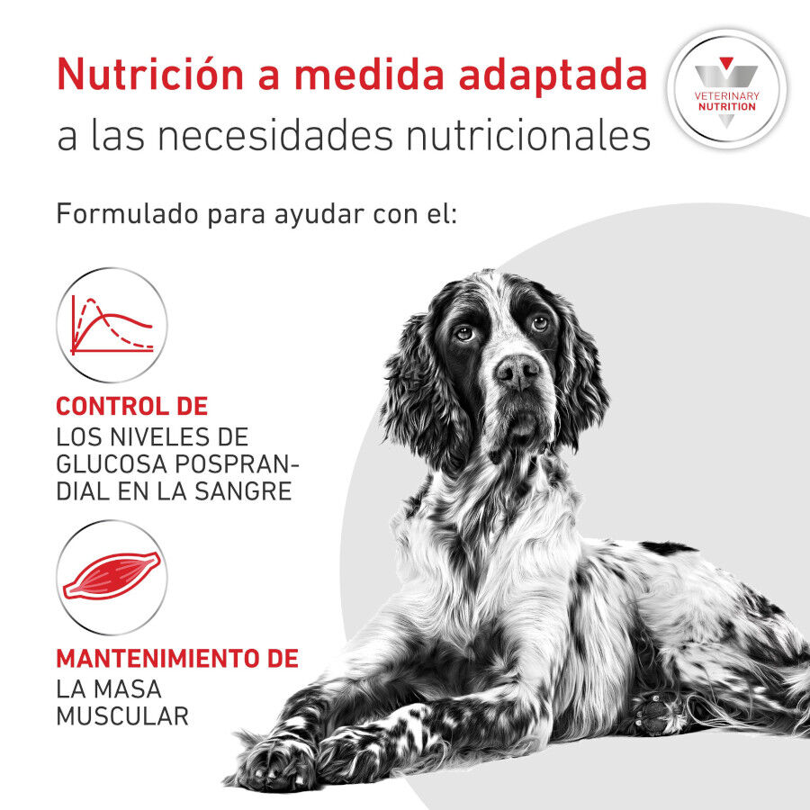 12 kg Royal Canin Veterinary Diabetic ra&ccedil;&atilde;o para c&atilde;es , , large Imagem n&uacute;mero 3