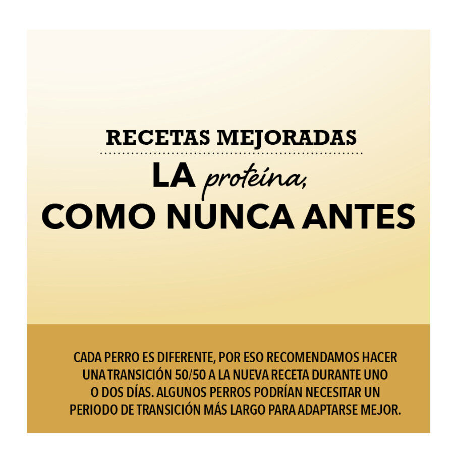 6 kg Acana Pac&iacute;fica ra&ccedil;&atilde;o para c&atilde;es, , large Imagem n&uacute;mero 4