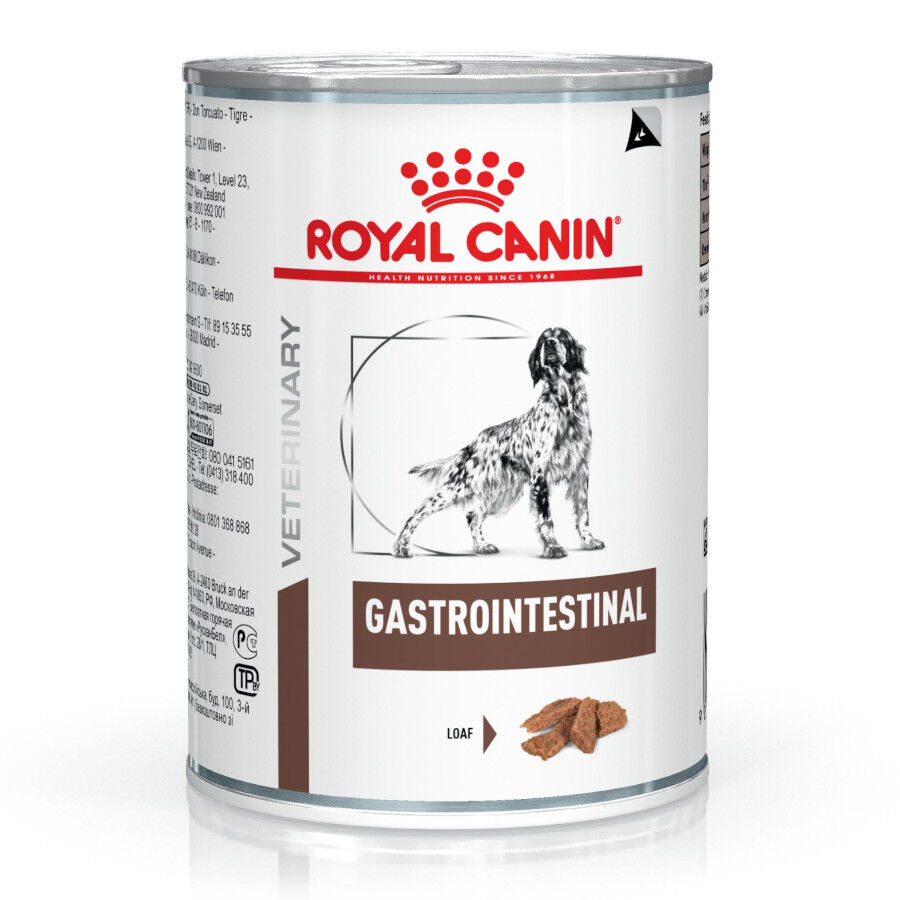 400 g Royal Canin Veterinary Diet Gastrointestinal lata para c&atilde;es, , large Imagem n&uacute;mero 2