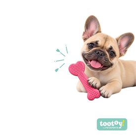 Tootoy! Puppy Mordedor Osso Chave-Cora&ccedil;&atilde;o Rosa para cachorros