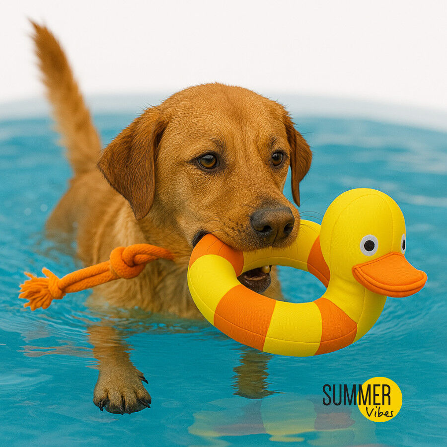 Pato flutuante para c&atilde;es, , large Imagem n&uacute;mero 2