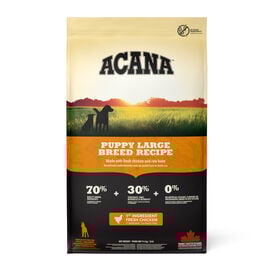 Acana Puppy Large Breed ração para cães
