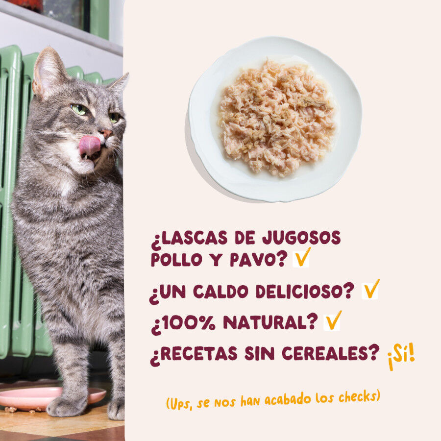 70 g Edgard & Cooper Filetes de Pollo y Pavo Lata para gatos, , large Imagem n&uacute;mero 4